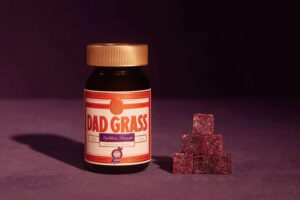 Dad Grass CBD CBN Nighttime Formula Midnight Berry gummies jar with stacked dark berry gummies beside it.